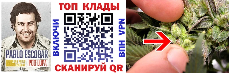 Купить наркоту Харовск Alpha-PVP  Конопля  COCAIN 