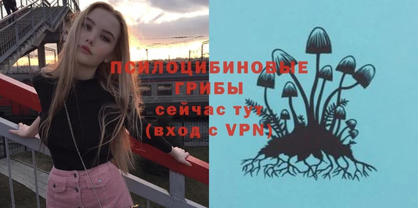 винт Слюдянка