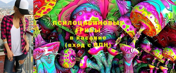 2c-b Алексин