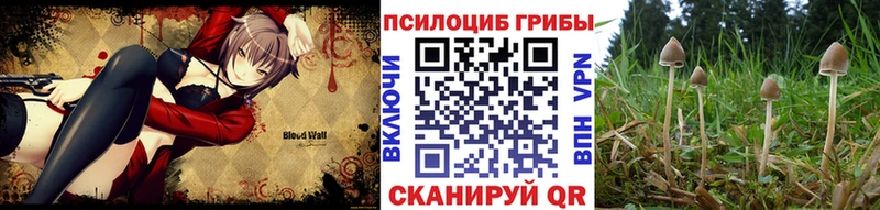 Псилоцибиновые грибы ЛСД  Харовск 